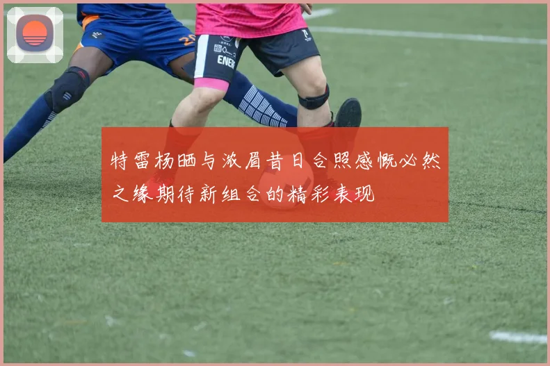 特雷杨晒与浓眉昔日合照感慨必然之缘期待新组合的精彩表现