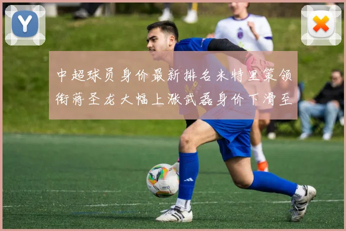 中超球员身价最新排名米特里策领衔蒋圣龙大幅上涨武磊身价下滑至50万