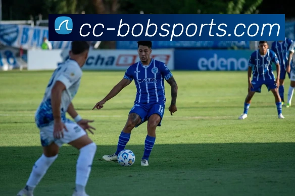 BOB体育平台生态图