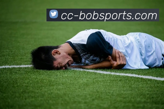 BOB体育APP 封面图